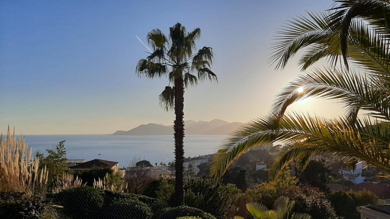 Cannes & More 외부 사진