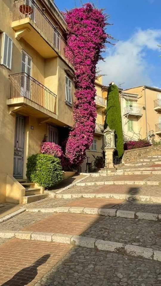 Cannes & More 외부 사진